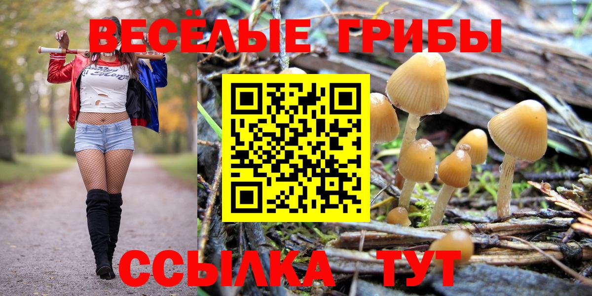 Долгопрудный  Псилоцибиновые грибы Psilocybe  Псилоцибиновые грибы ЛСД  Вход с VPN 
